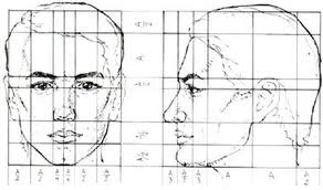 rostro canones frente proporciones mitad diferencias concavo adulto convexo rostros carboncillo modelado nariz visuales profesores