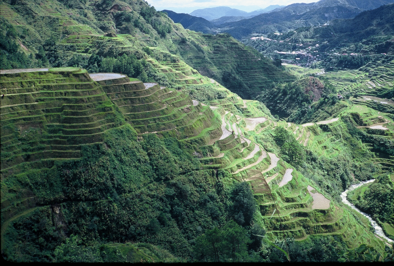 saan matatagpuan ang banaue rice terraces - philippin news collections