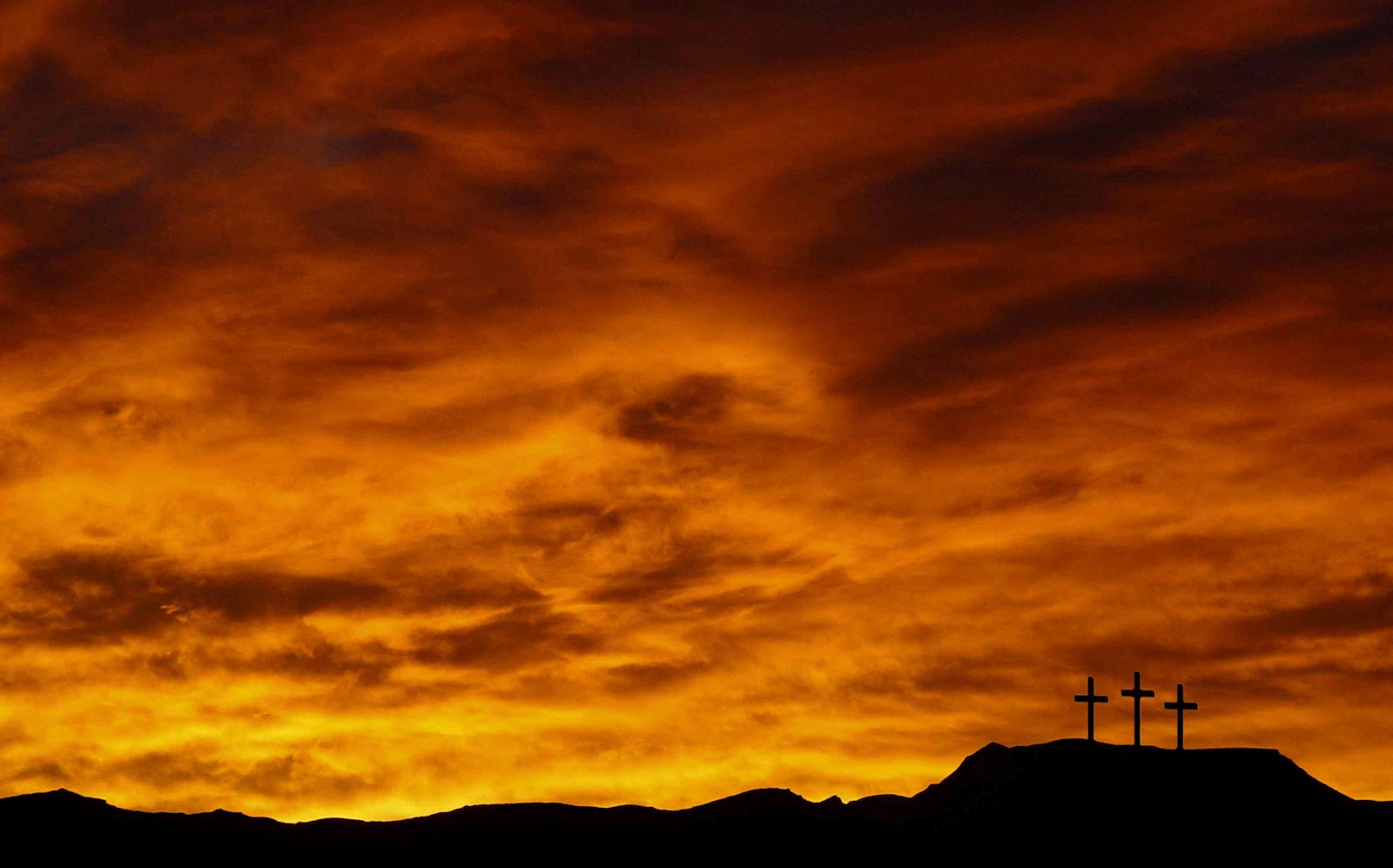 Holy Bible Today Understanding God's Extraordinary Today