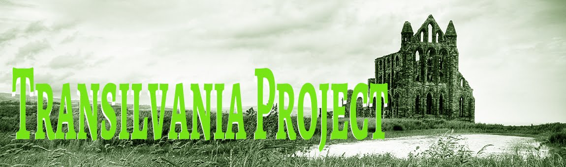 The Transilvania Project
