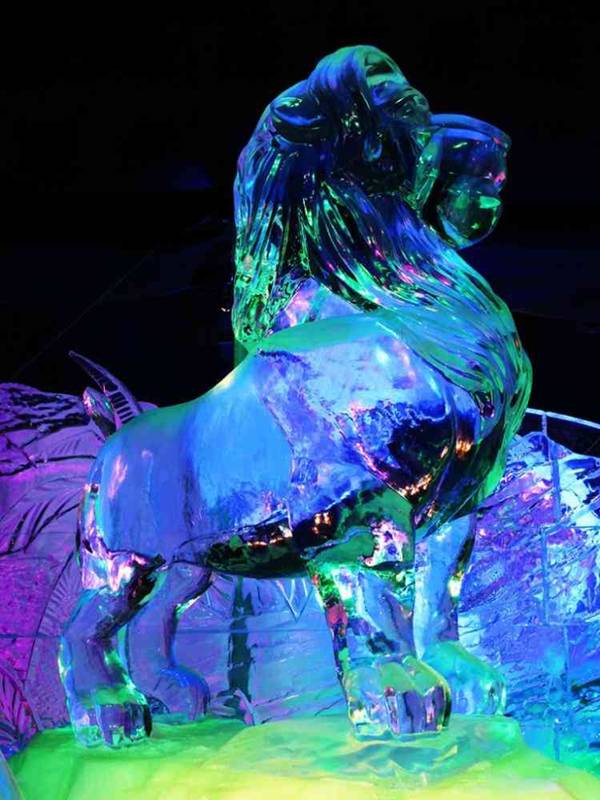 Amazing Ice Sculptures (15 pics)