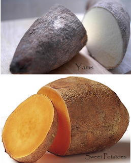 What is the Difference Between Sweet Potatoes and Yams
