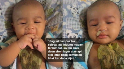 Tips Viral Hanya Sekeping Daun Sireh Ianya Dapat Membantu