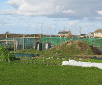 St Ives Allotment - Compost Bins