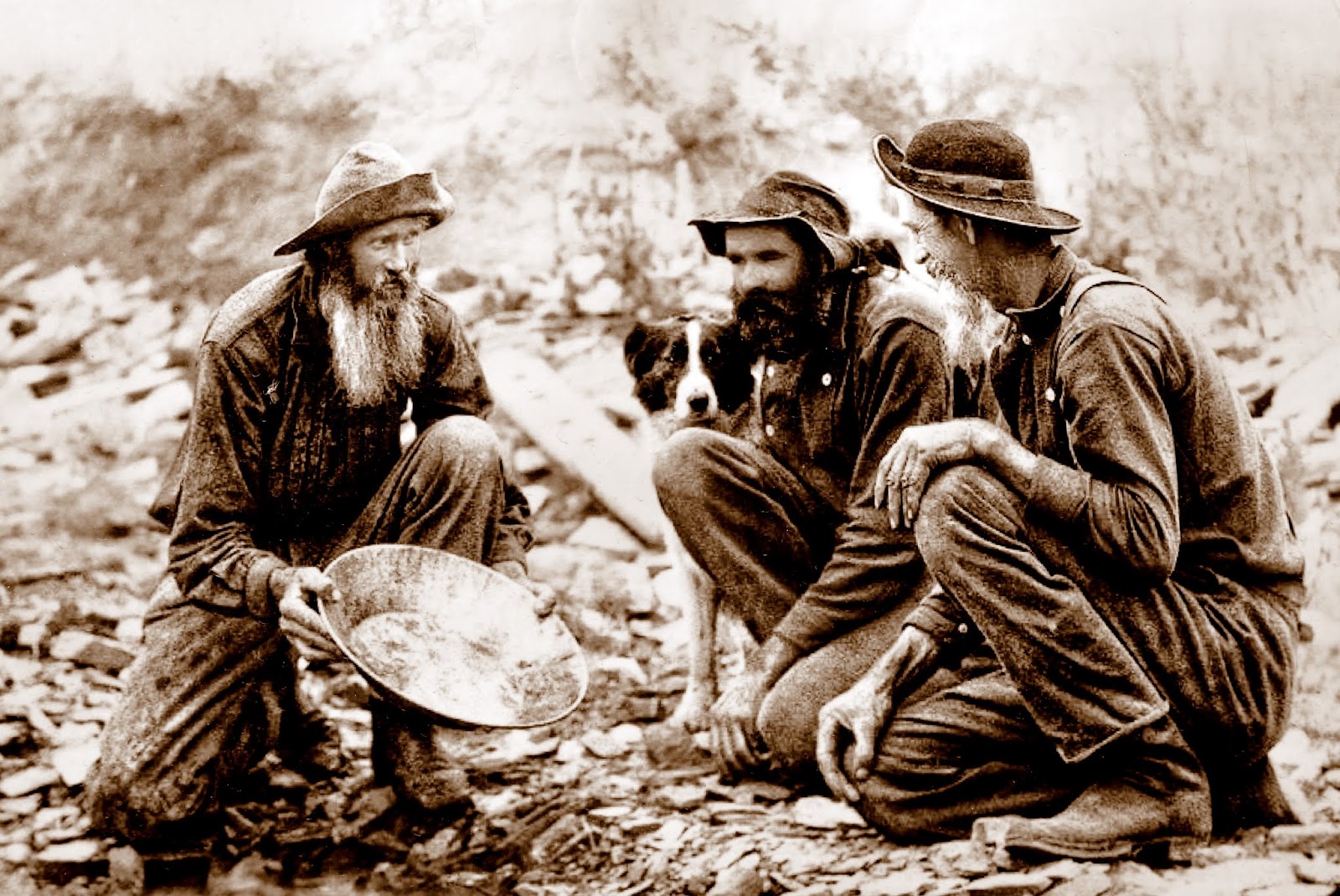 Mille Fiori Favoriti The Loop Railroad