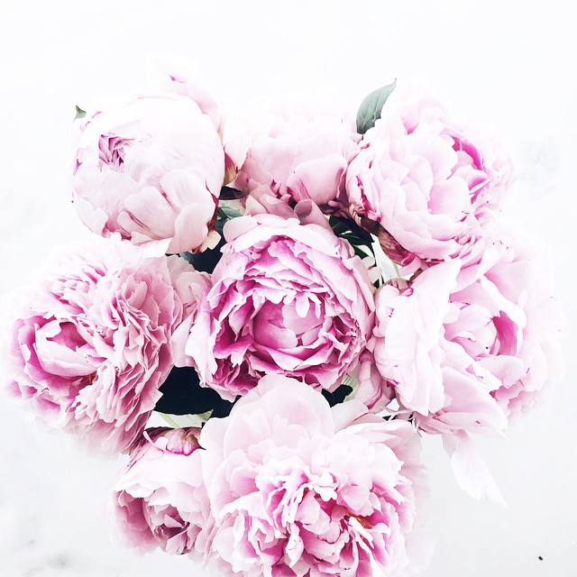 Follow On Instagram Images Of Inspiration By Tuss Cool Follow On Instagram Images Of Inspiration By Tuss Cool Chic Style Fashion