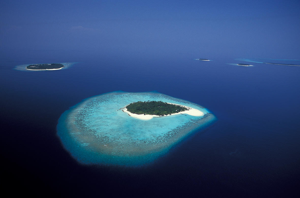 Океан на букву д. Атоллы на дне океана. Мальдивы дно. Рельеф дна Мальдивских островов. Мальдивы рельеф дна.