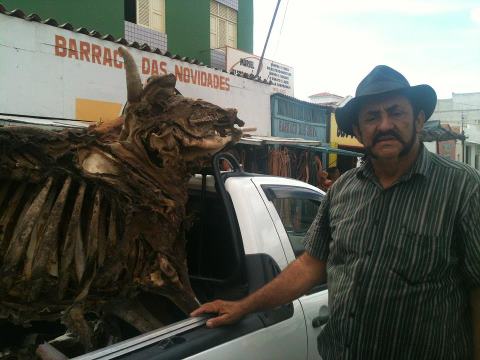 http://2.bp.blogspot.com/-kU5LMew5BUA/UW1XafF6mEI/AAAAAAAAl00/dLRFjjyVHlI/s640/ci%C3%A7%C3%A3o+bandido.jpg