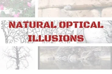 Natural Optical Illusions