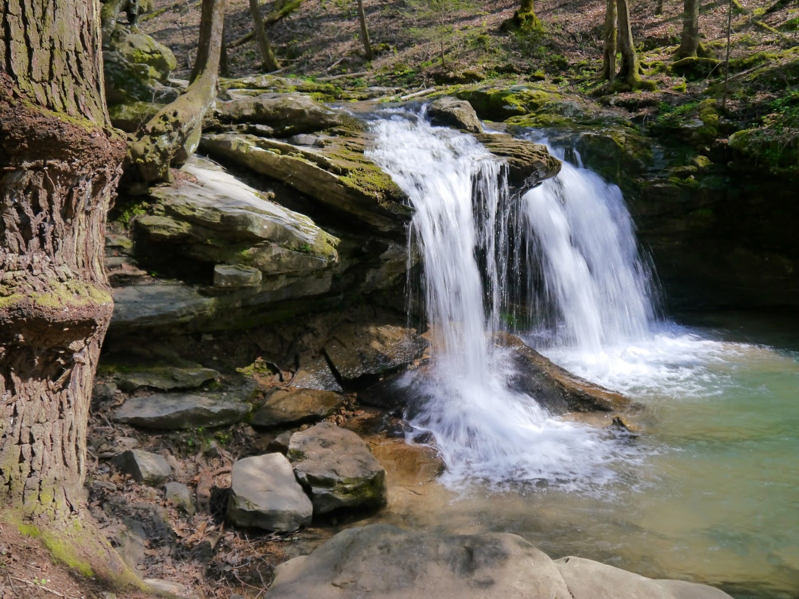 American Travel Journal DeBord Falls and Emory Gap Falls Frozen Head