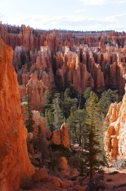 Bryce Canyon National Park, Utah.