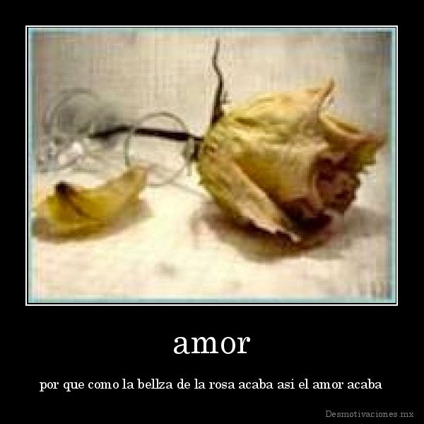 amor, reflexiones amorosas, por que el amor duele, que pasa en el desamor,, imagenes de amor y desamor