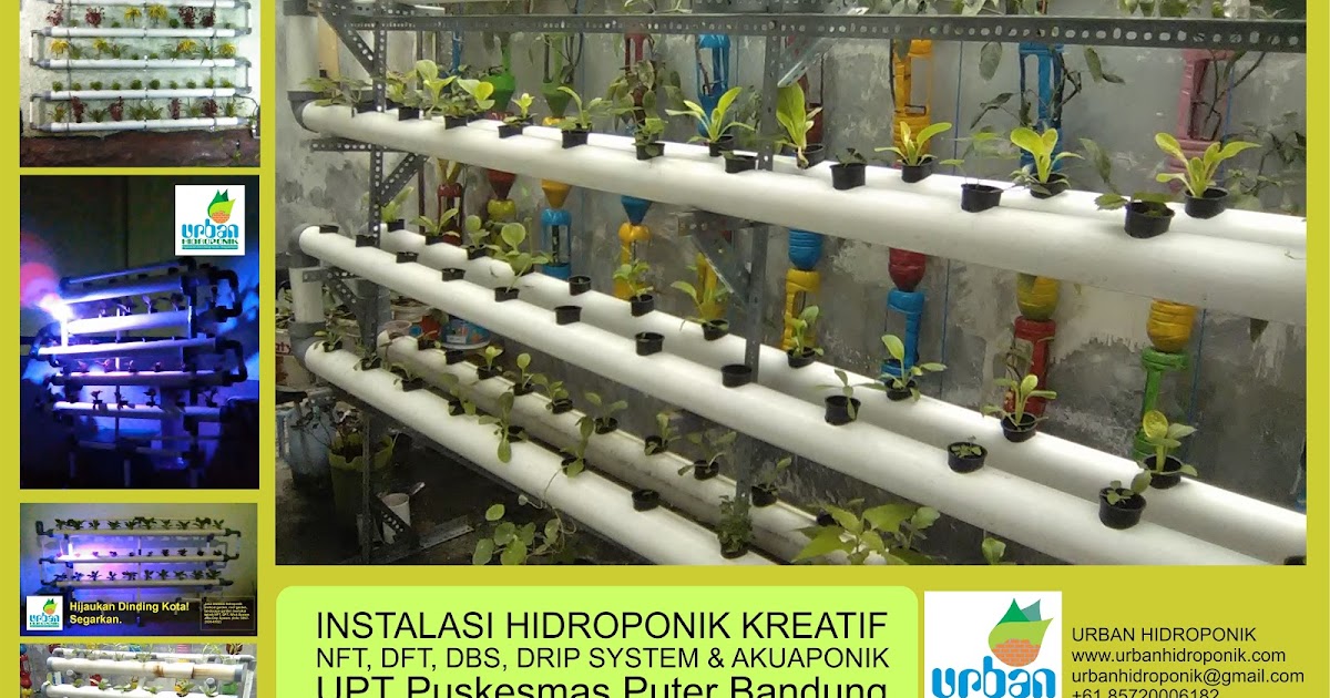 Kiat Memilih Ukuran Pipa Pvc Yang Tepat Untuk Berkebun Hidroponik Urban Hidroponik