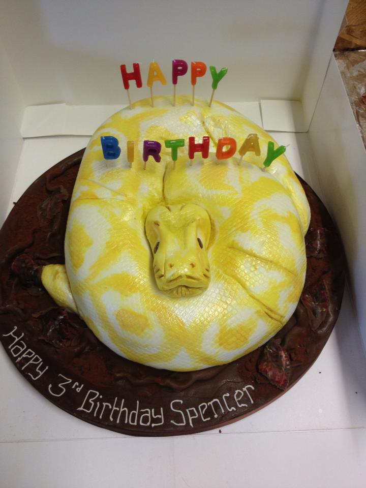 Wild Kids Reptile Parties: Reptile Birthday Cakes!