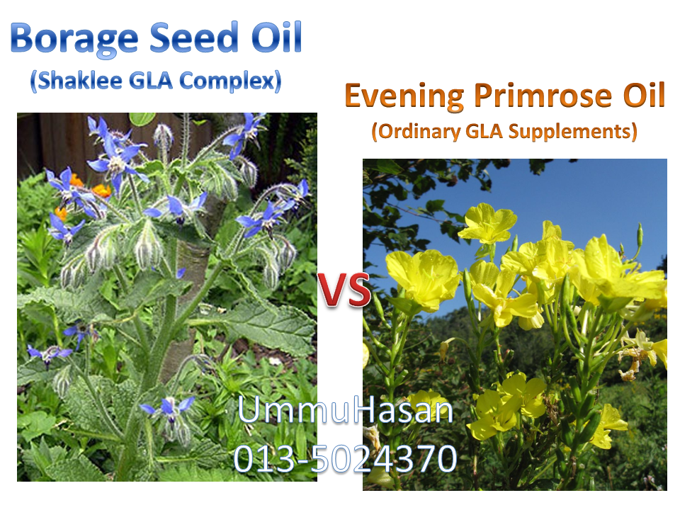 UmmuHasan Collection GLA COMPLEX vs EVENING PRIMROSE OIL (EPO)