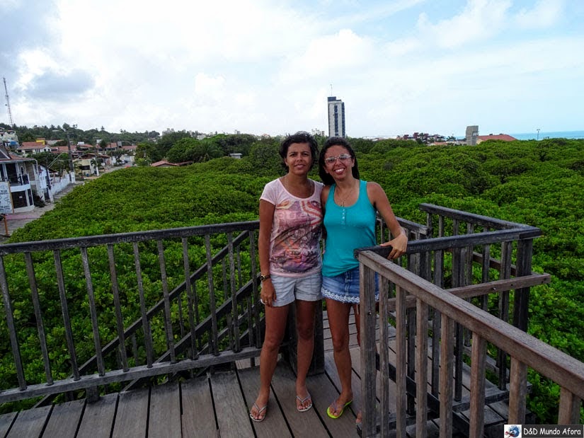 Mirante do Maior Cajueiro do Mundo - Natal (RN) - Praia de Pirangi Mirante do Maior Cajueiro do Mundo - Natal (RN) - Praia de Pirangi