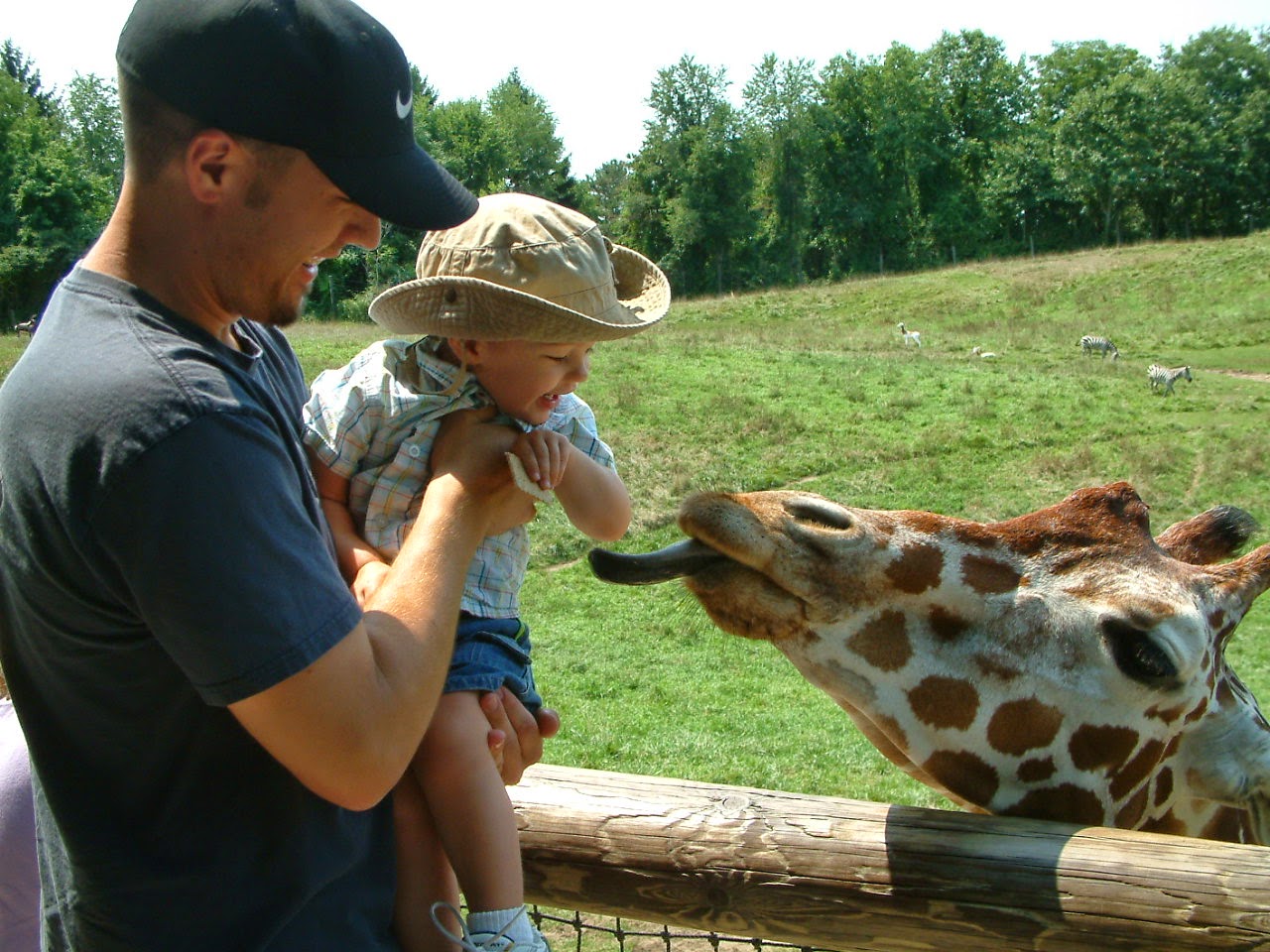 West Michigan Weekly Binder Park Zoo Receives Accreditation through