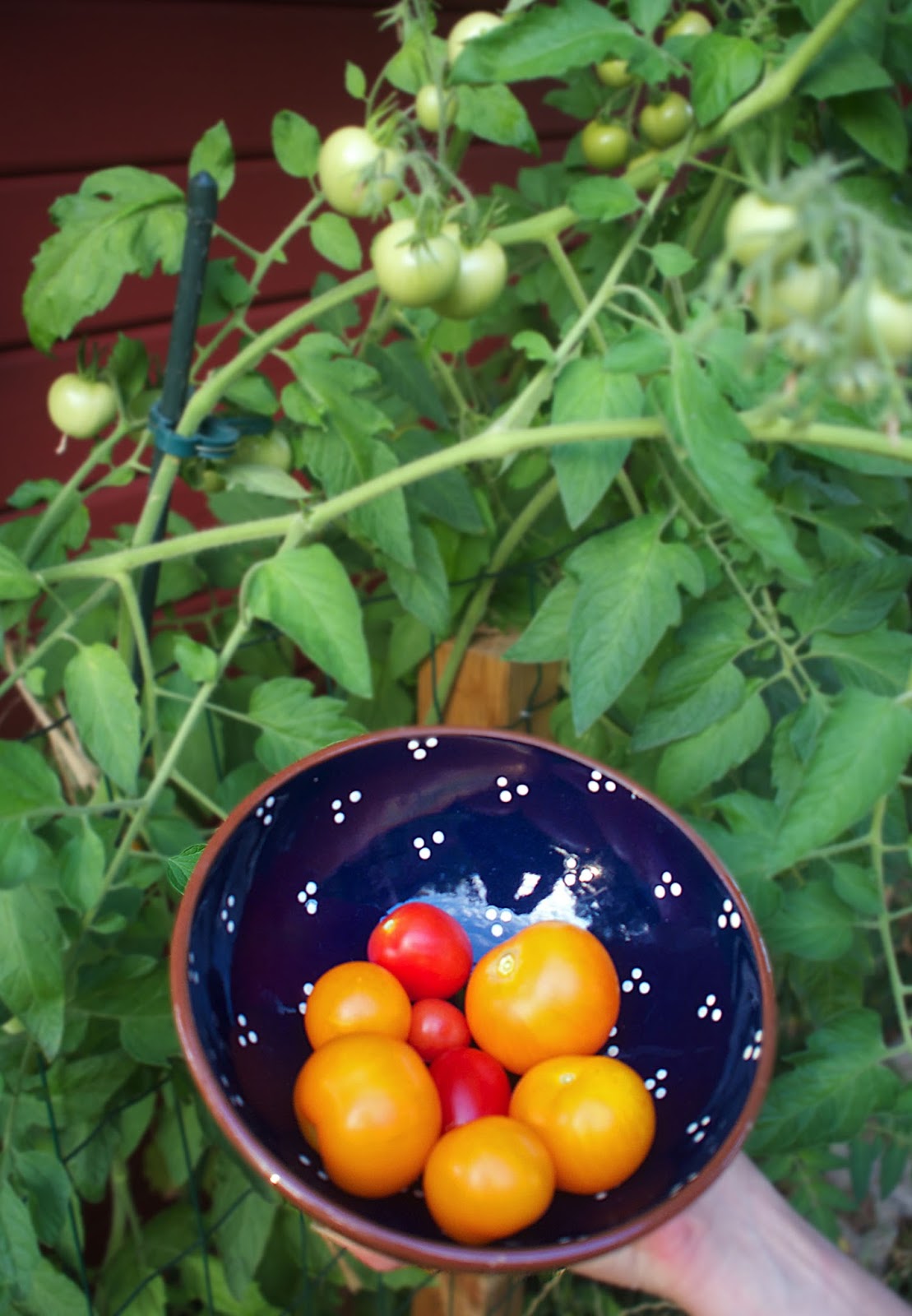 Derthuringer Informativ Aktuell Mit Radio Archiv Derthuringer