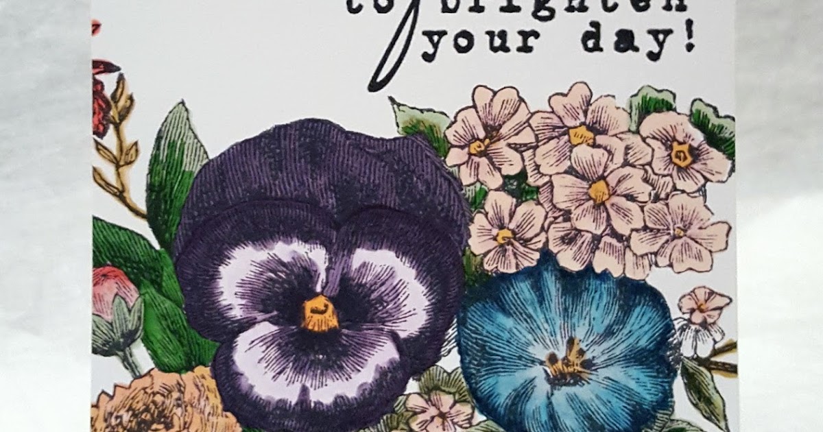 TheGrandStampede Pansy Corner