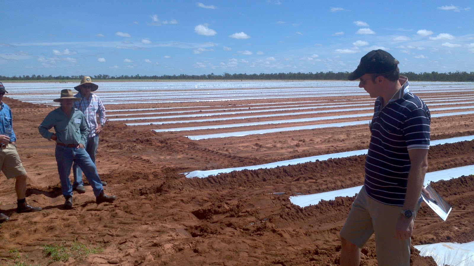 LandcareNT Degradable plastic mulch