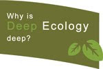 Deep Ecology