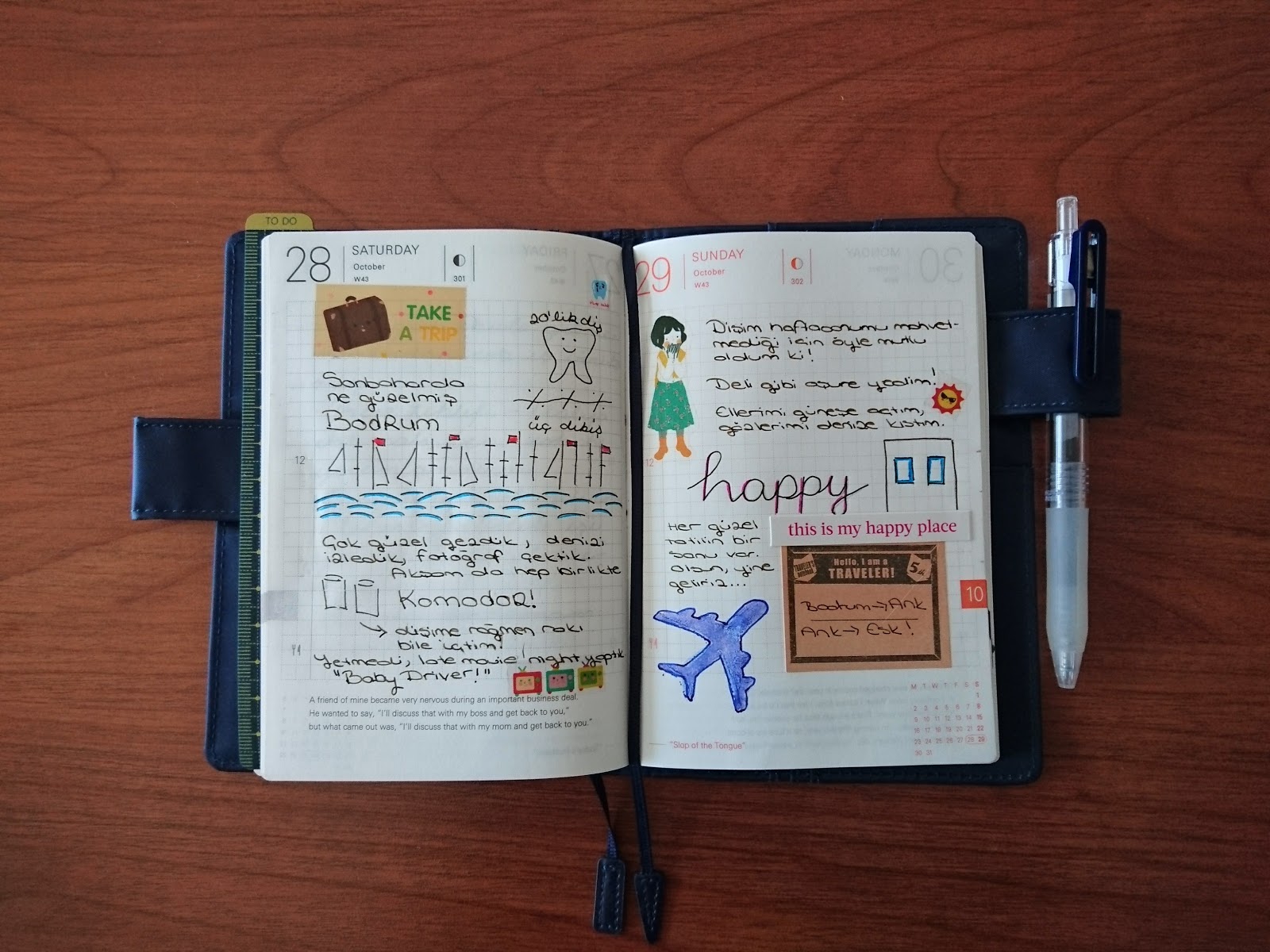 rubyglinda hobonichi techo nedir