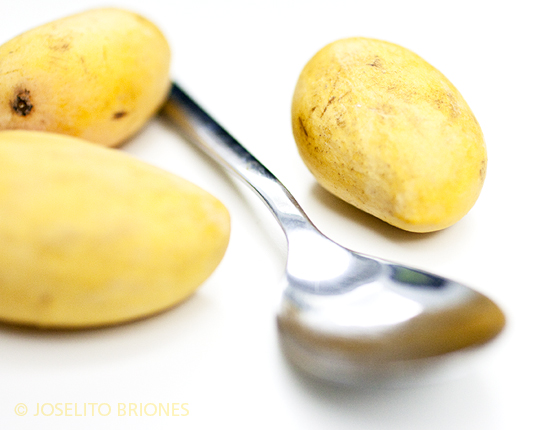 pahutan, or small mangoes, or Mangifera altissima, photo by joselito briones