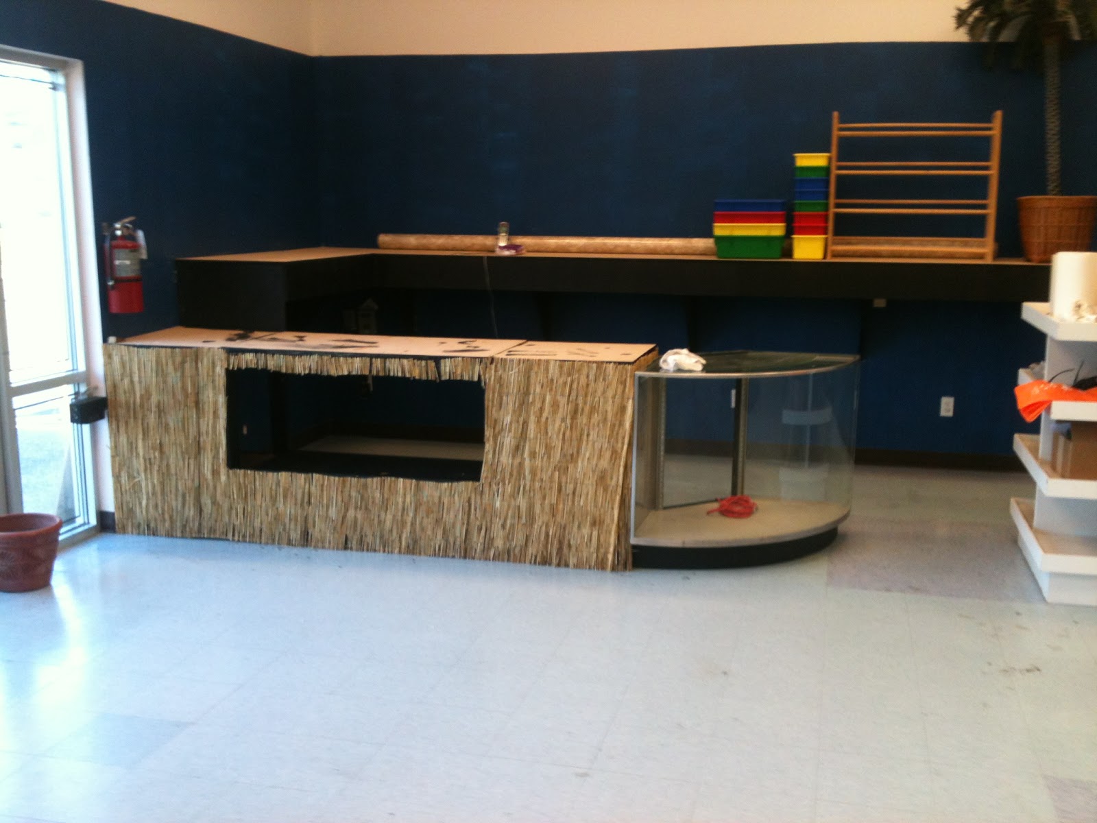 Finatics Tropical Fish Finishing the sales counter & adding aquariums