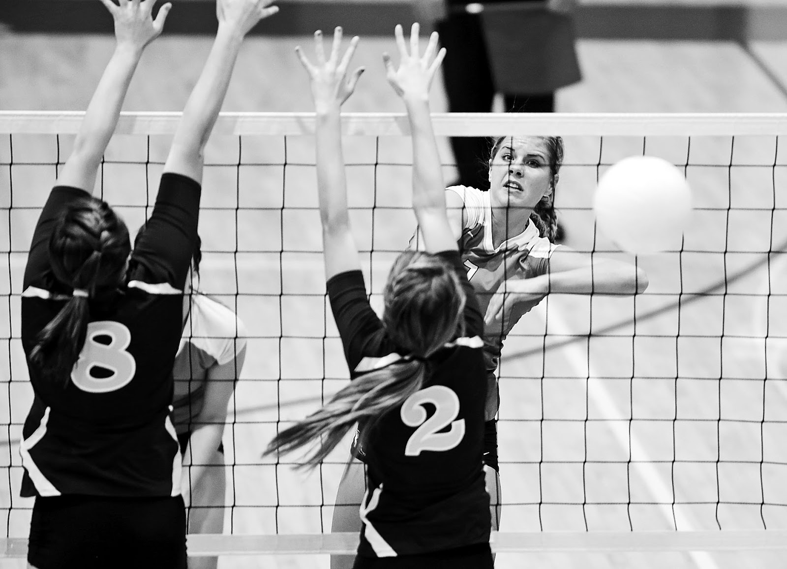 John Lovretta Photography Mediapolis High School Regional Volleyball Final