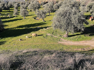 CASTELO DE VIDE, NATURE