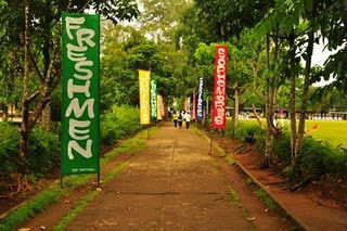 Firstime: Vinzons Pilot High School Intramurals 2011