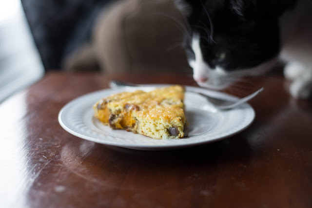 The cat loves this butternut squash frittata