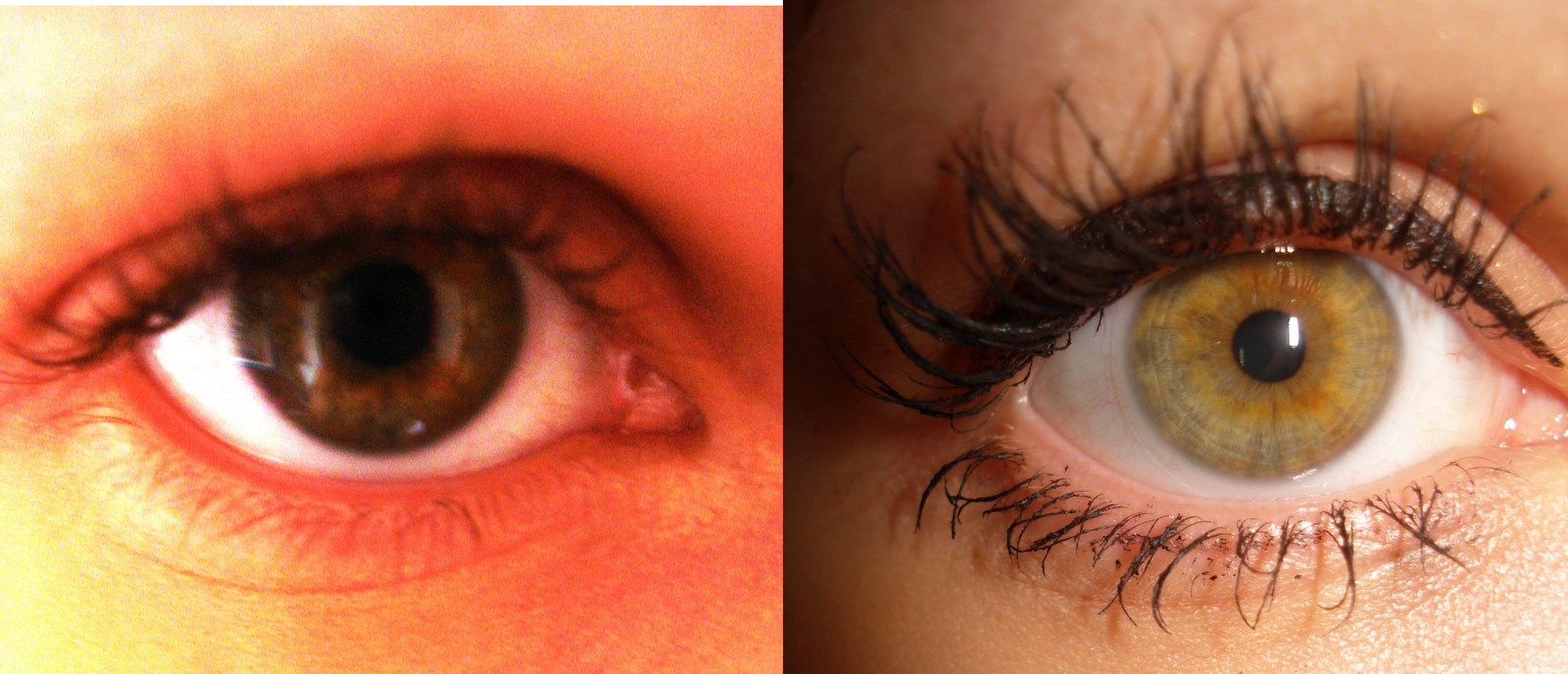 The Cosmetics Kitten Is Benefit 'They're Real' the best mascara ever??