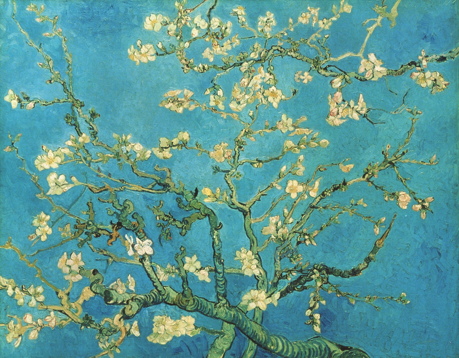 Art and About Van Gogh Up Close