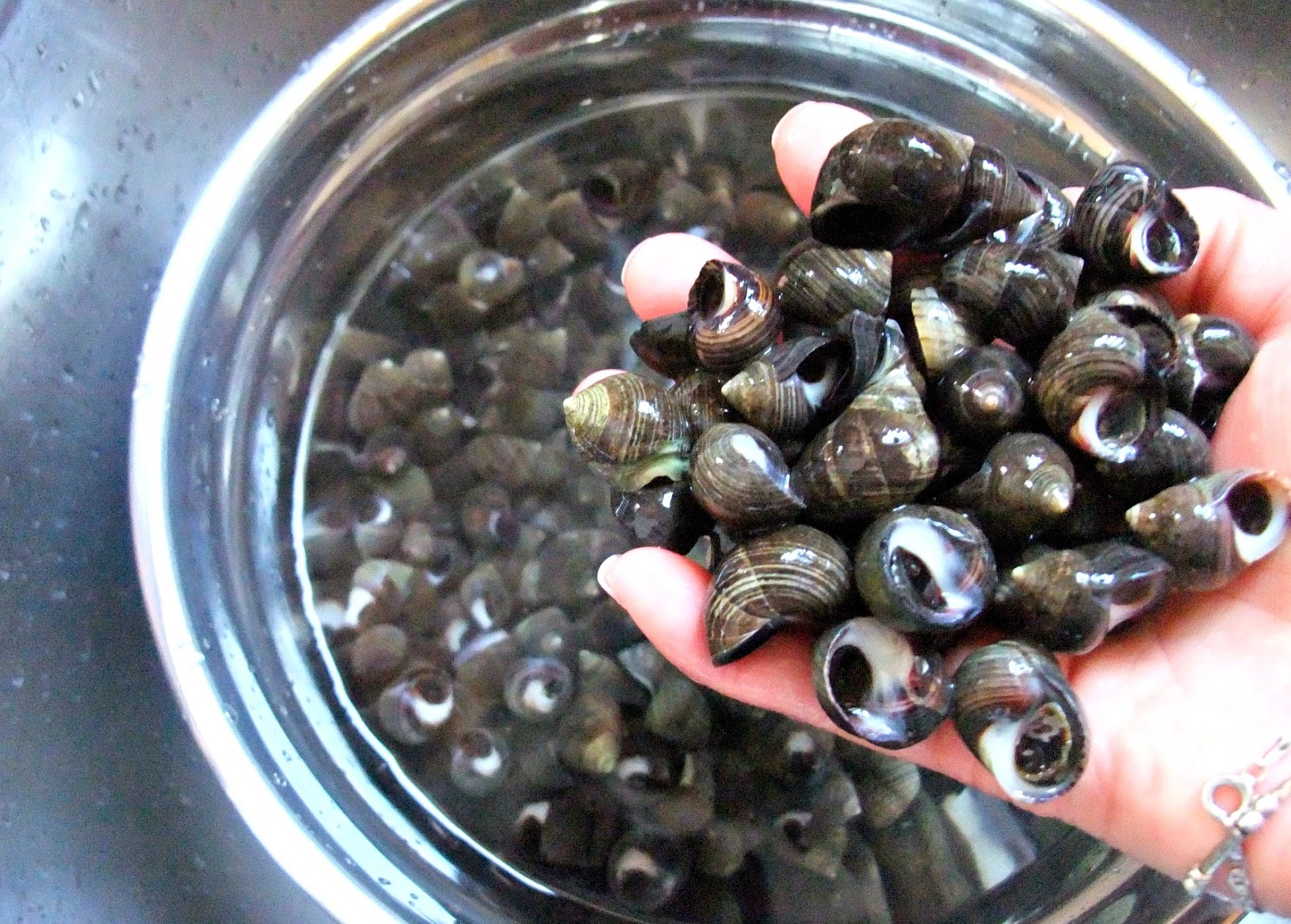 Susan's SavourIt! Cantonese Wok Snails In Black Bean Sauce...