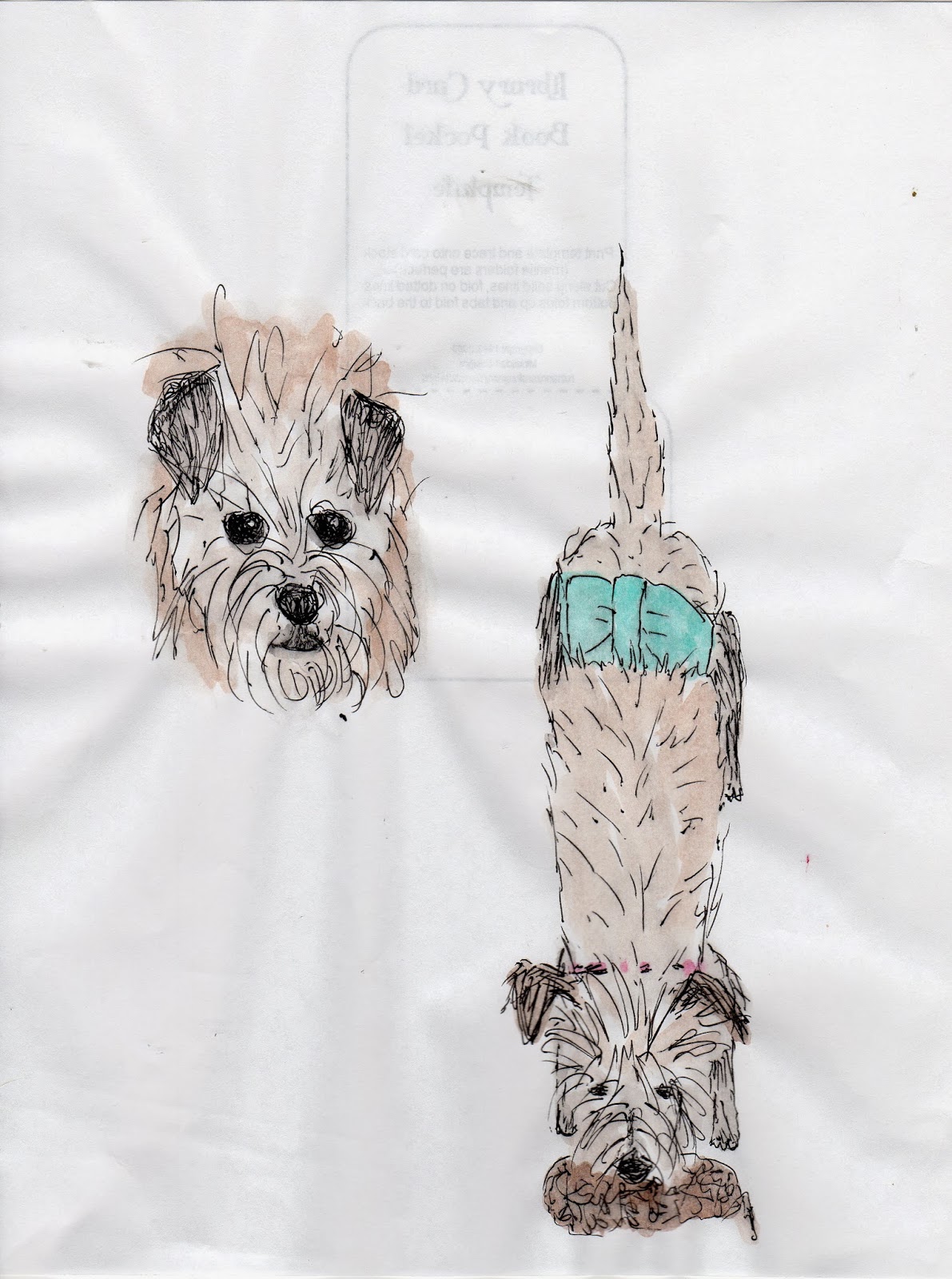 Freebird Drawing My Dog, Biscuit