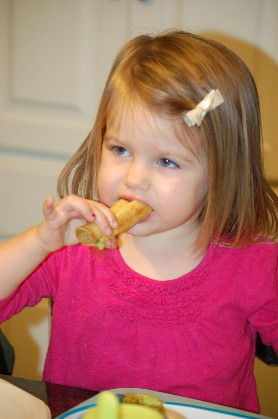 Christa B Davis Chicken Taquitos