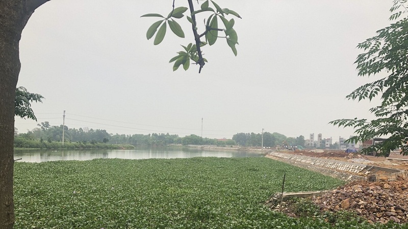Không chỉ có hồ trung tâm Bích Động, bản thân Lakeside City cũng có hồ Không chỉ có hồ trung tâm Bích Động, bản thân Lakeside City cũng có hồ điều hòa