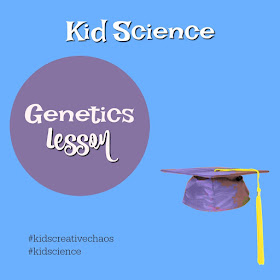 Genetics  Activities for Elementary: Lessons and Games