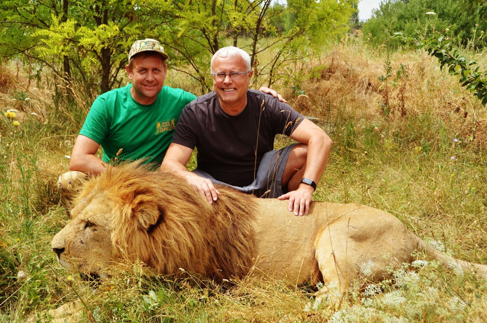тайган алексагина ютуб последние видео. татьяна алексагина парк львов. татьяна алексагина тайган. обезьяна люся парк тайган. татьяна алексагина тайган парк львов.
