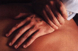 Desbravando a Técnica Diversificada