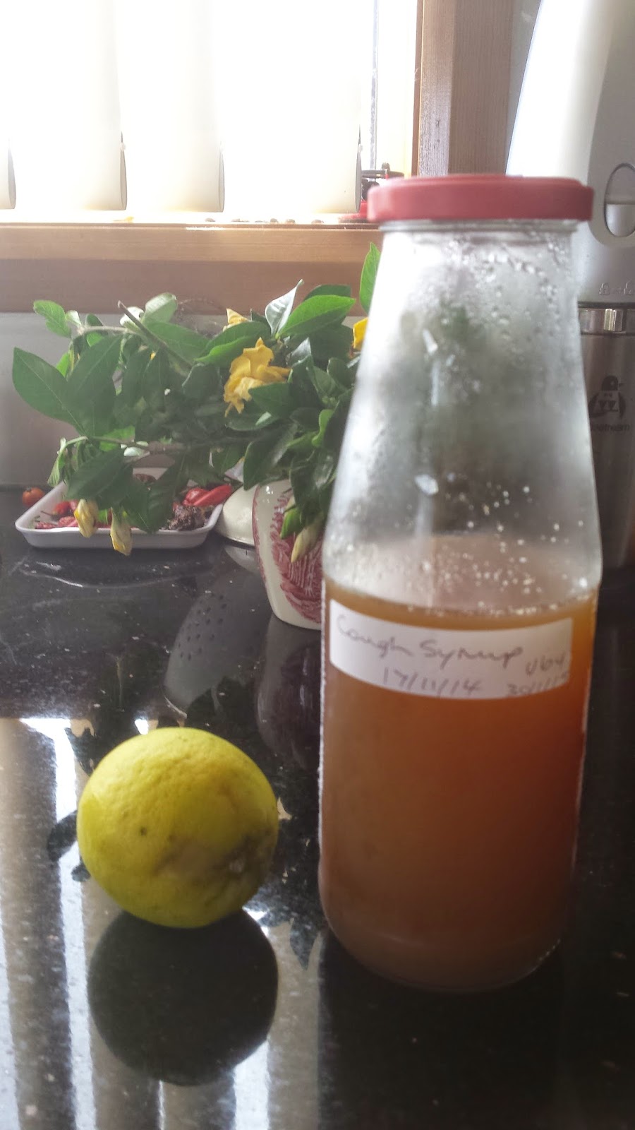 Merryn's Menu Home made Cough Syrup that actually tastes good.