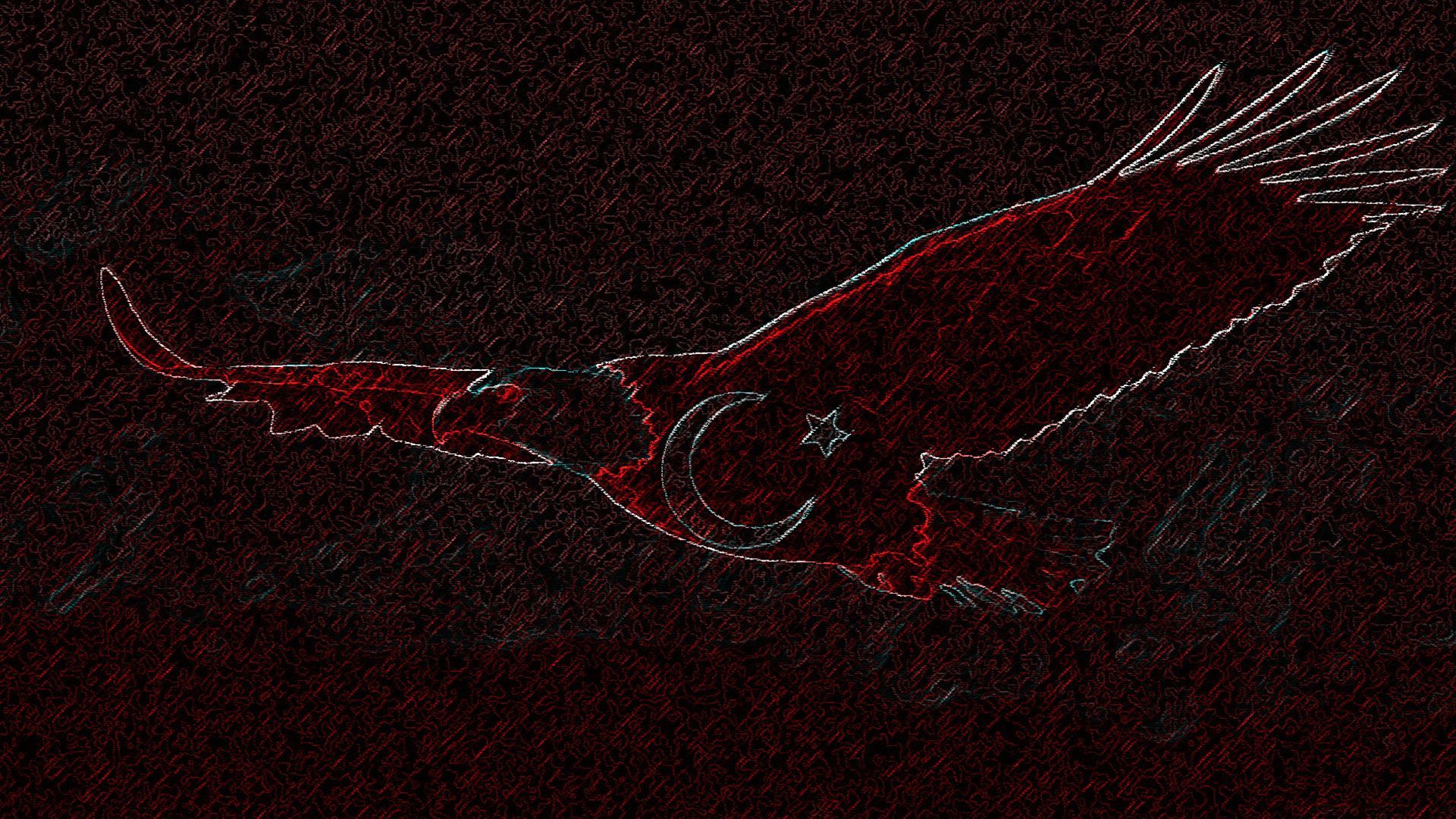 Kartal resimli turk bayraklari 5