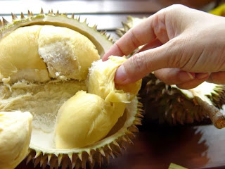 Buah Durian yakni buah yang dari namanya saja kita sudah sanggup membayangkan bila buah ini  Manfaat Buah Durian Untuk Kesehatan