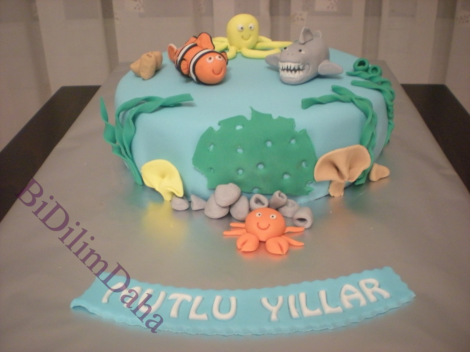 Ankara Özel Tasarım Şeker Hamuru Butik Pasta Kurabiye Cupcake Ocak 2013