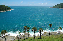 nature beauty nuzhat bird posted