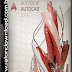 AutoCad 2014 Crack Serial Torrent