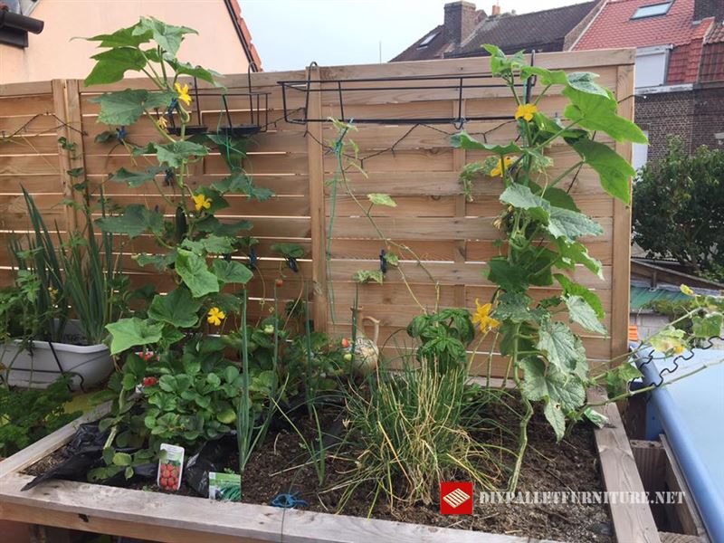 Mueblesdepalets.net: Jardineras