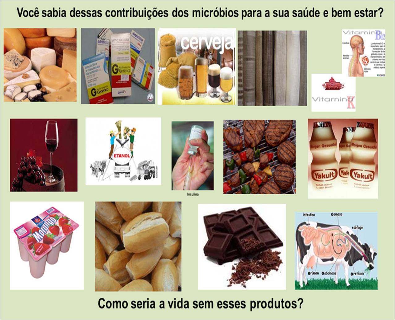 Alimentos Produzidos Com Bactérias AskSchool Alimentos Produzidos Com Bactérias AskSchool