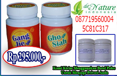 Obat Herbal Penyakit Sipilis